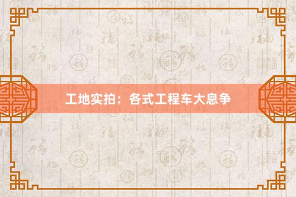 工地实拍：各式工程车大息争